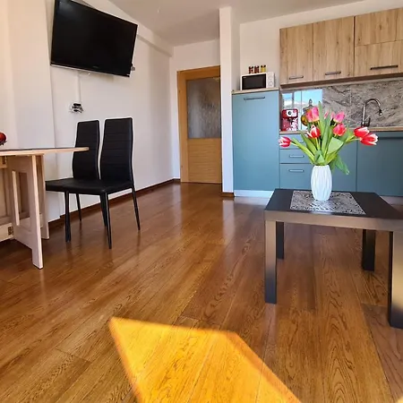 Downtown Ela Apartment Opatija