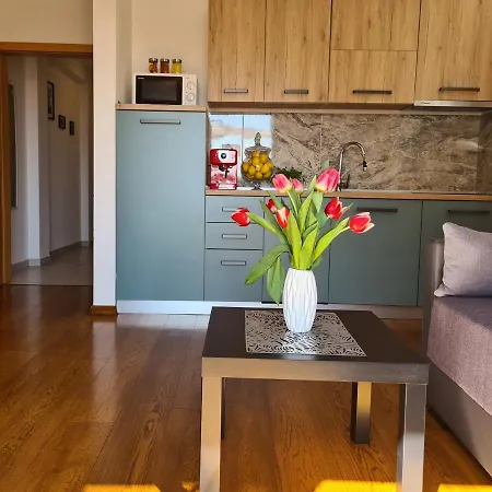 Apartament Downtown Ela